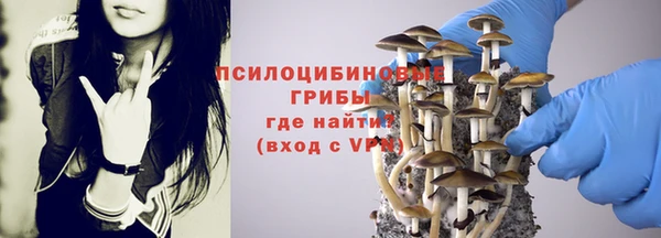 бутират Верея