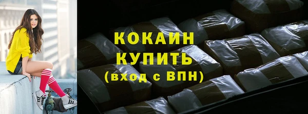 дживик Верхний Тагил