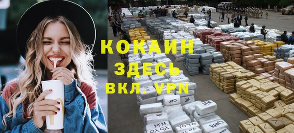 дживик Верхний Тагил
