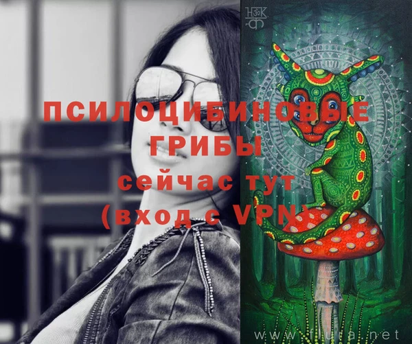 дживик Верхний Тагил