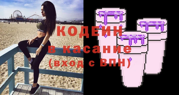 дживик Верхний Тагил