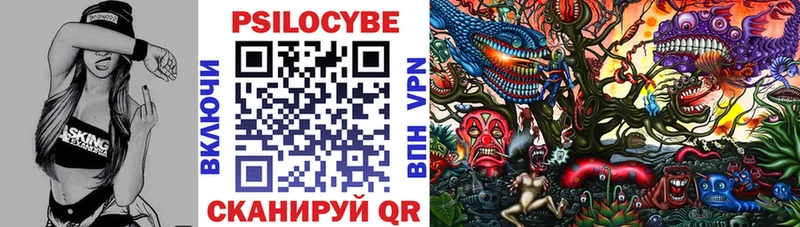 Псилоцибиновые грибы мицелий  Элиста 